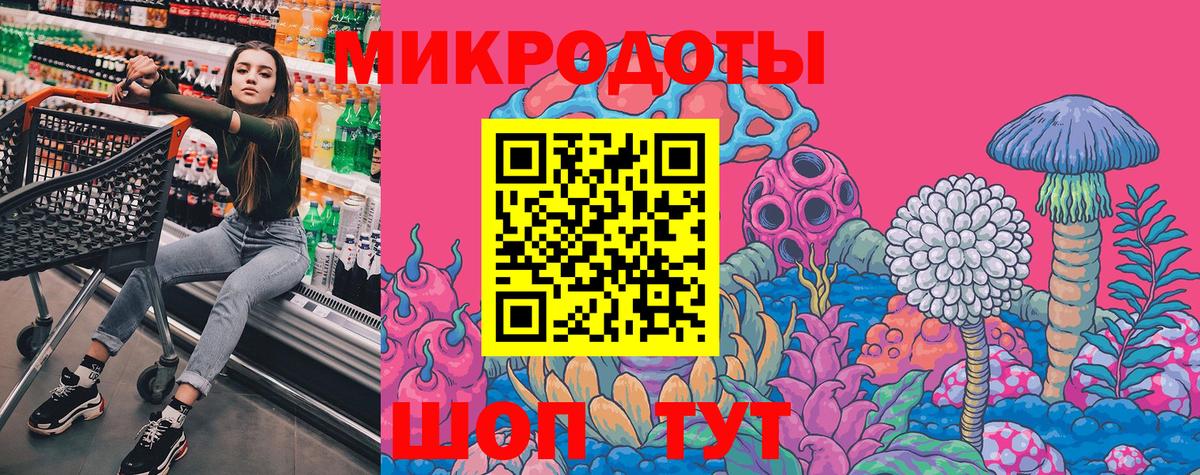 Псилоцибиновые грибы Psilocybe Славянск-на-Кубани