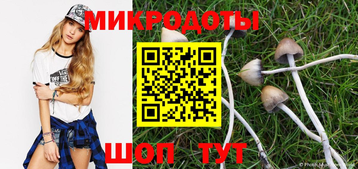 Галлюциногенные грибы Psilocybe  Вход с VPN  Славянск-на-Кубани 